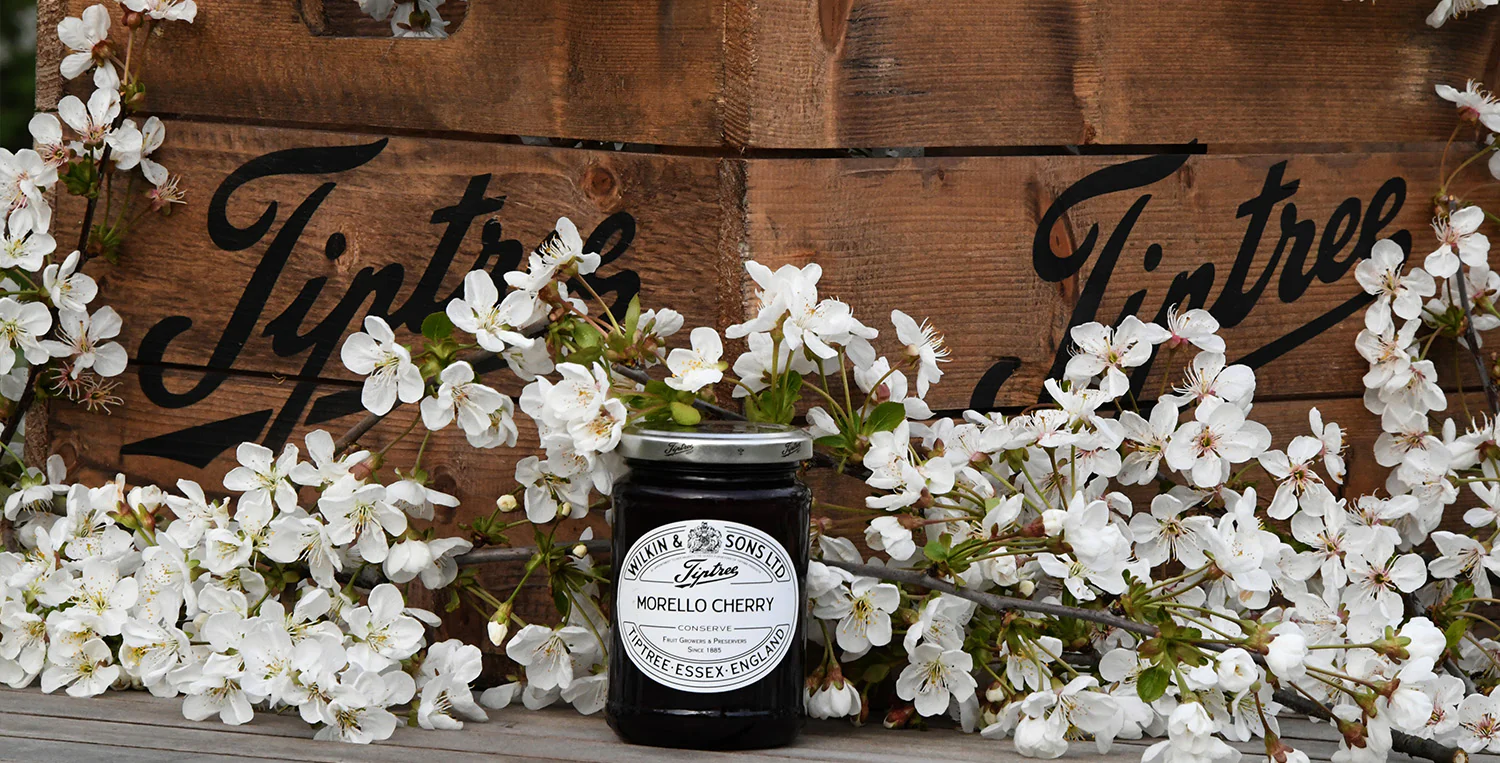 Welcome to Our Store